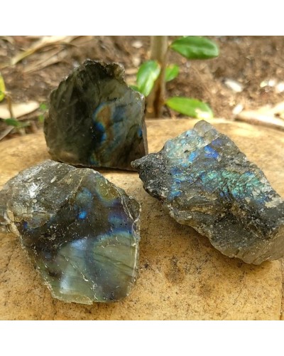 Labradorite une face polie