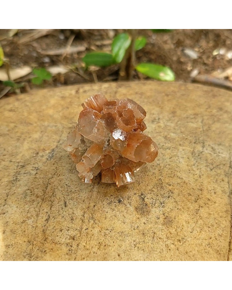 Aragonite