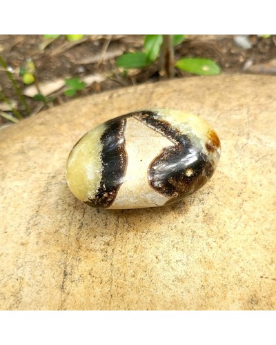 Septaria en galet