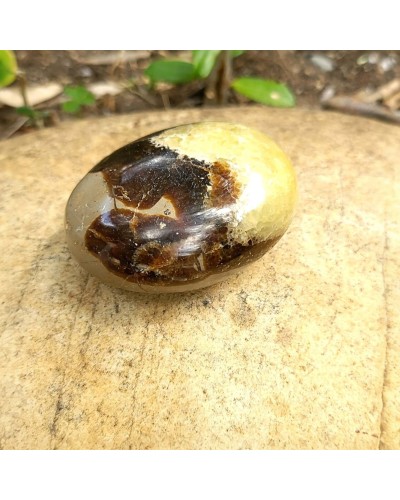 Septaria en galet