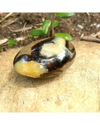 Septaria en galet