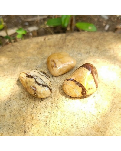 Jaspe zèbre