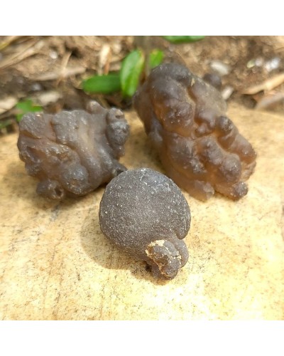 Calcédoine brute