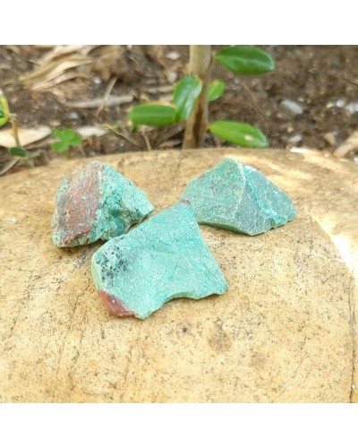 Chrysocolle brute