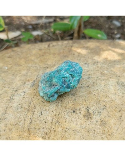 Chrysocolle brute